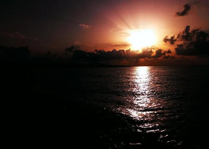 C32 In Dream Complex ラヴダ