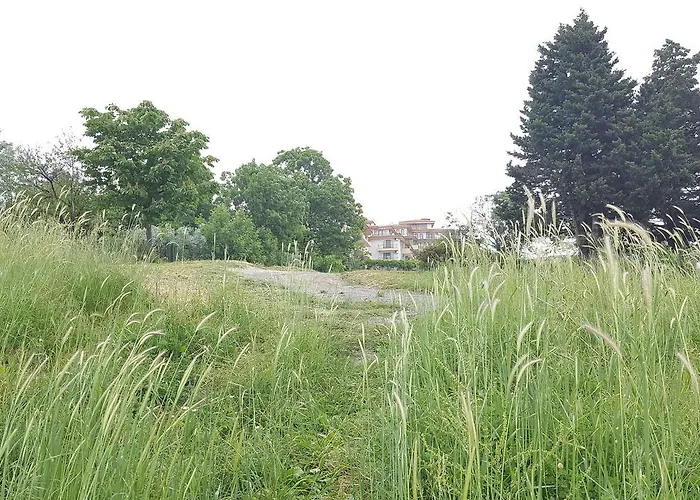 C32 In Dream Complex