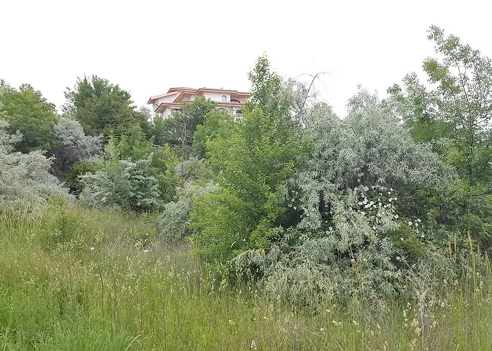 C32 In Dream Complex