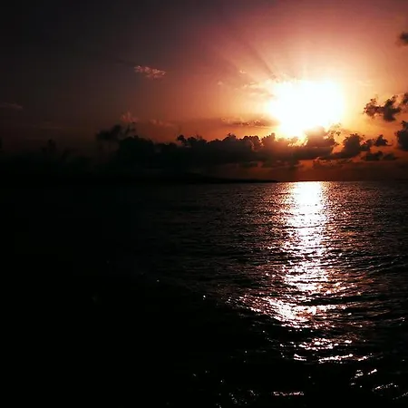 C32 In Dream Complex 라브다